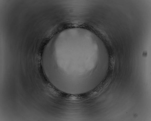 X0000100780657200807171444