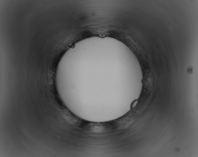 X0000100780658200807171444