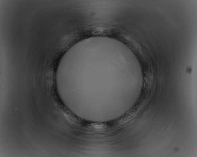 X0000100780659200807171444
