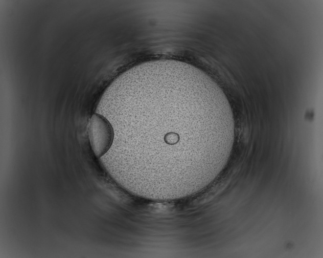X0000100780660200807171444