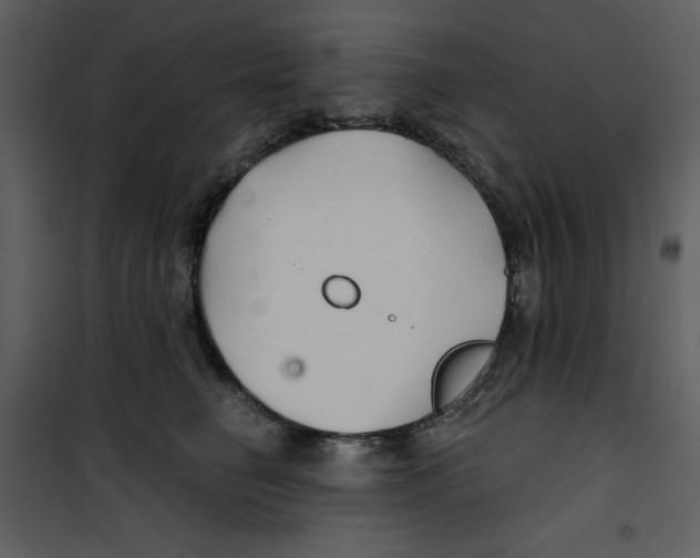 X0000100780662200807171444