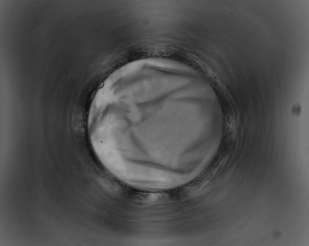 X0000100780663200807171444