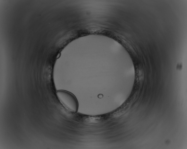 X0000100780664200807171444