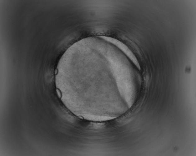X0000100780665200807171444