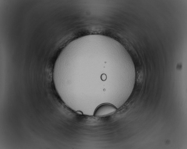 X0000100780666200807171444