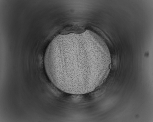 X0000100780667200807171444
