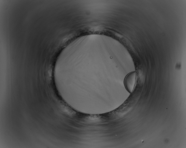 X0000100780668200807171444