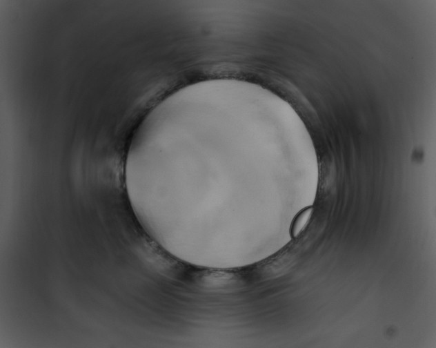 X0000100780669200807171444