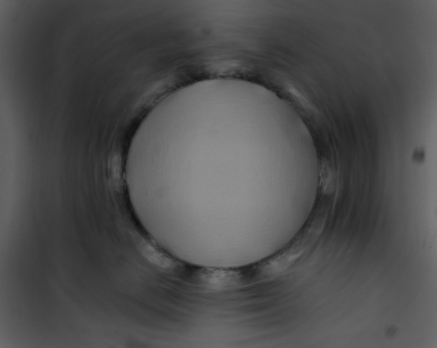X0000100780670200807171444