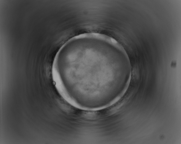 X0000100780671200807171444
