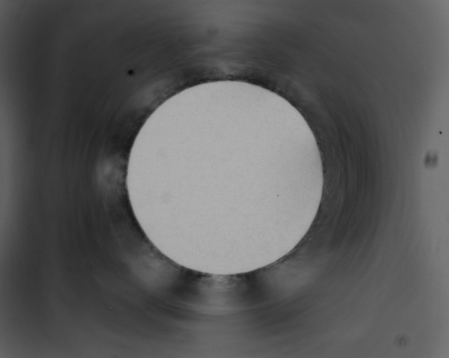 X0000100780672200807171444
