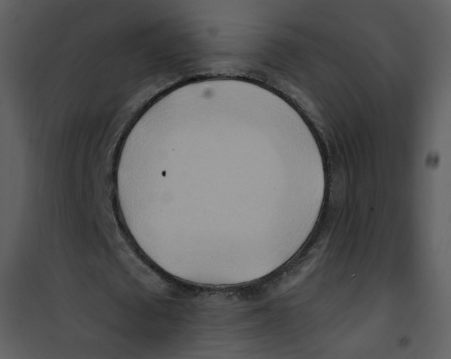 X0000100780673200807171443