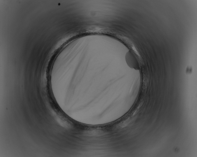 X0000100780674200807171443