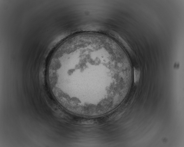 X0000100780675200807171443
