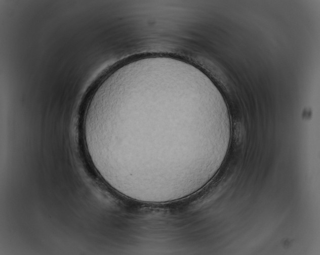 X0000100780676200807171443