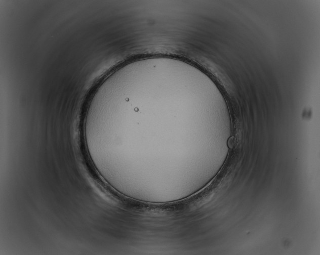 X0000100780677200807171443