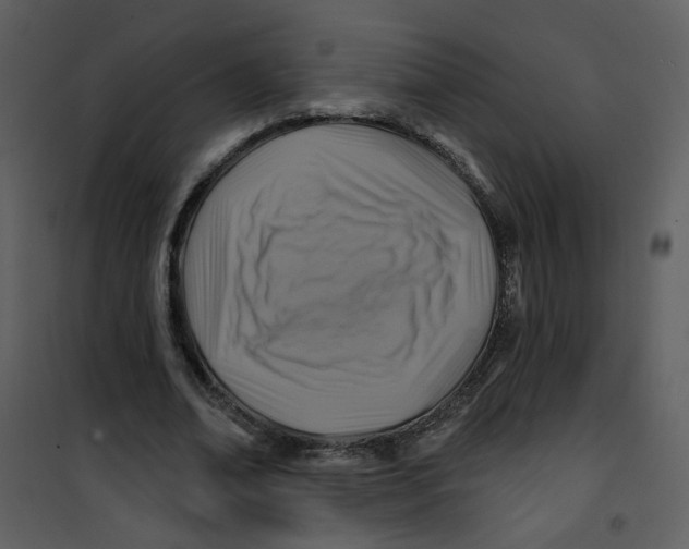 X0000100780678200807171443