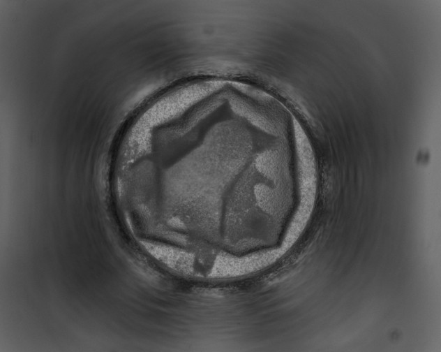 X0000100780679200807171443