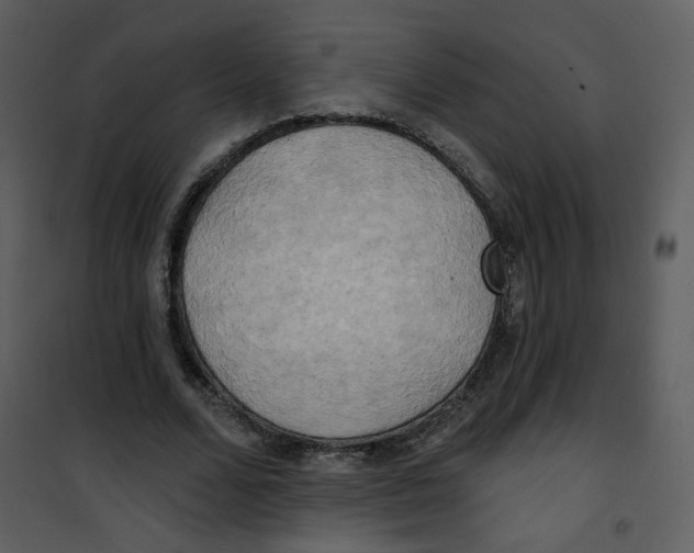 X0000100780680200807171443