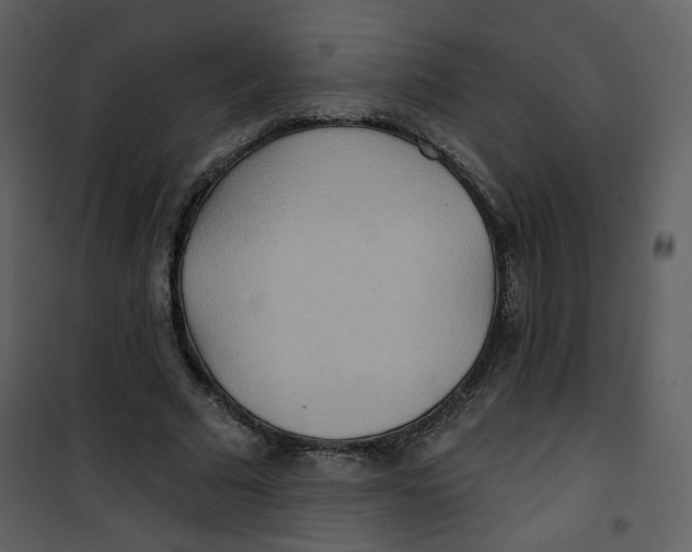 X0000100780681200807171443