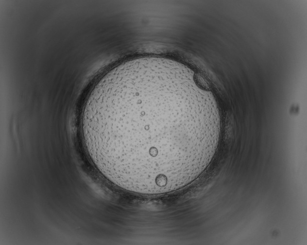X0000100780683200807171443
