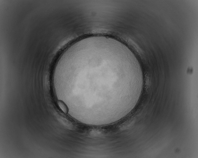 X0000100780684200807171443