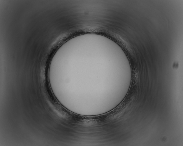 X0000100780686200807171443