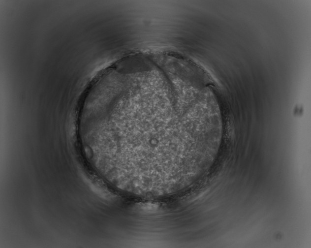X0000100780687200807171443