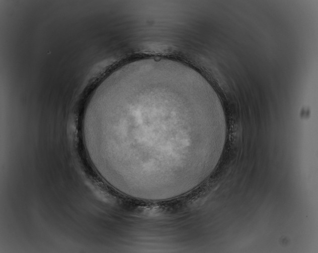 X0000100780688200807171443