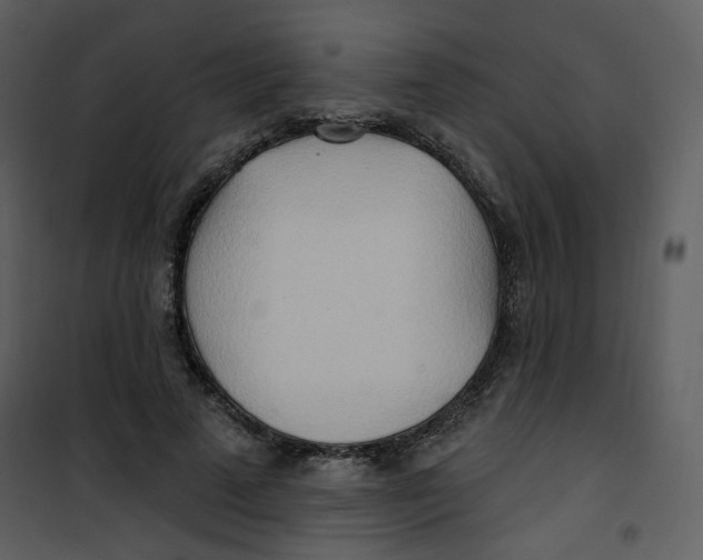 X0000100780689200807171443