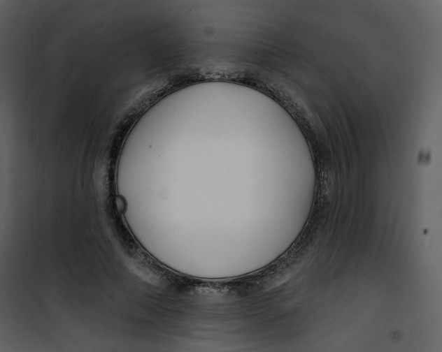 X0000100780690200807171443
