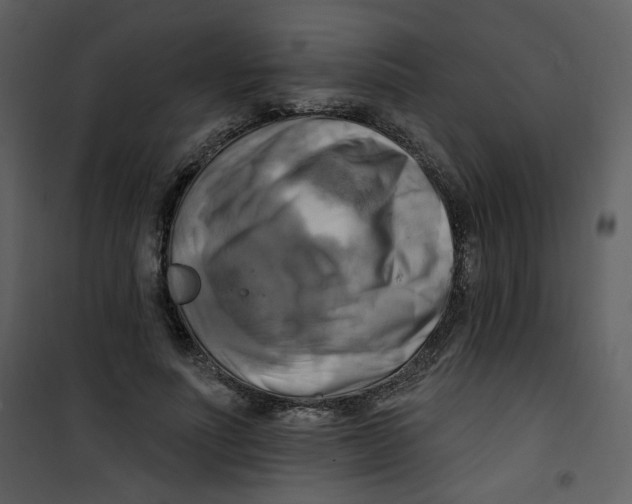 X0000100780691200807171443