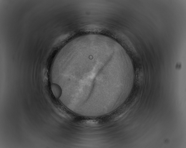 X0000100780692200807171443
