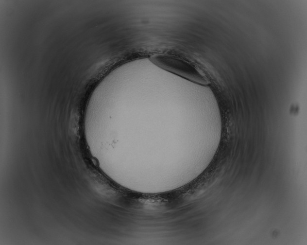 X0000100780693200807171443