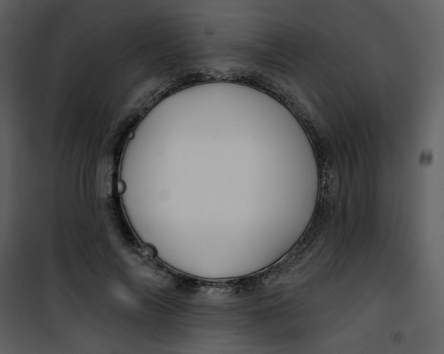 X0000100780694200807171443