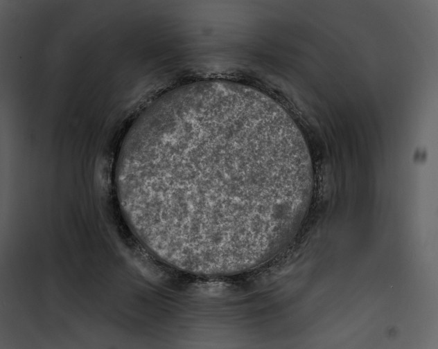 X0000100780695200807171443