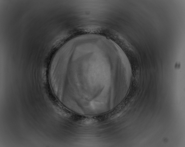 X0000100780696200807171443