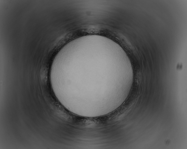 X0000100780697200807171443