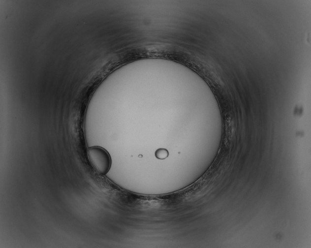 X0000100780698200807171443