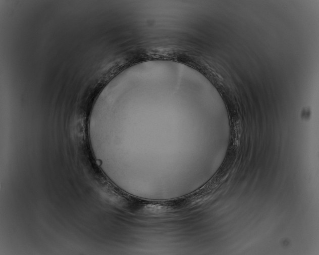 X0000100780699200807171443