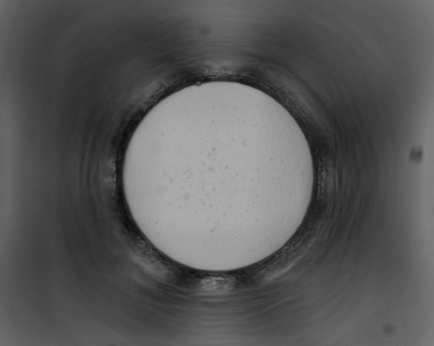 X0000100780700200807171443