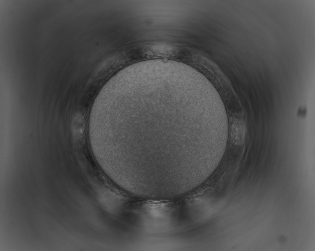 X0000100780701200807171443