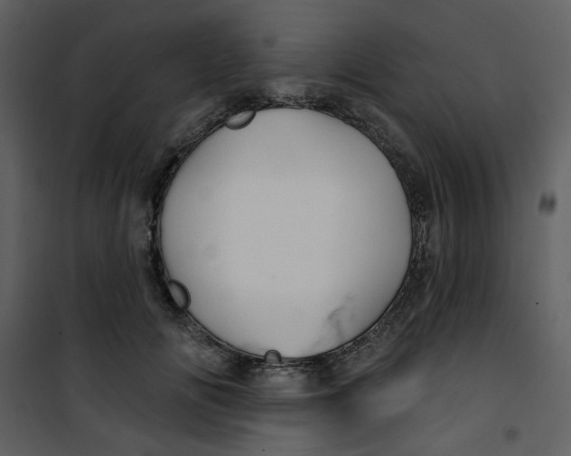X0000100780702200807171443