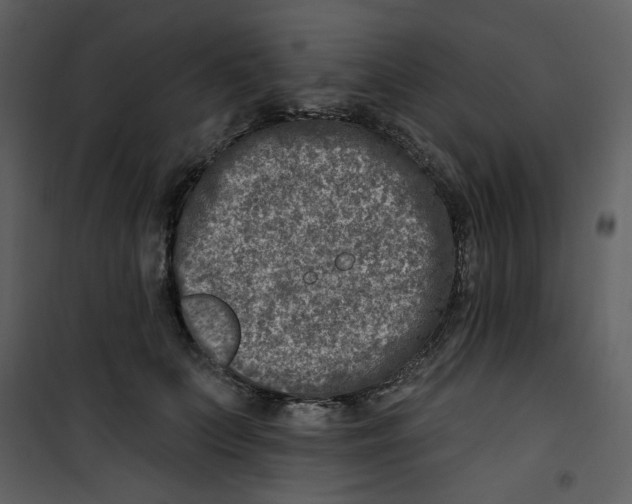 X0000100780703200807171443