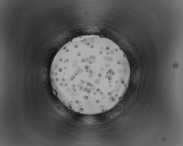X0000100780704200807171443