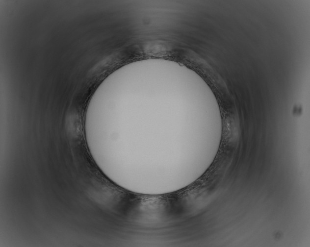 X0000100780705200807171443