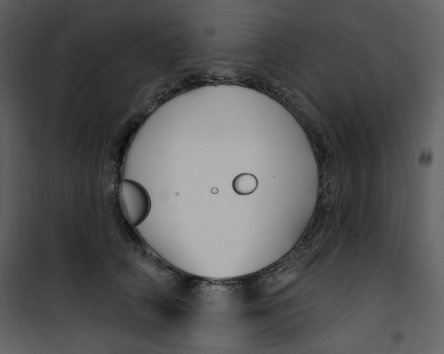 X0000100780706200807171443
