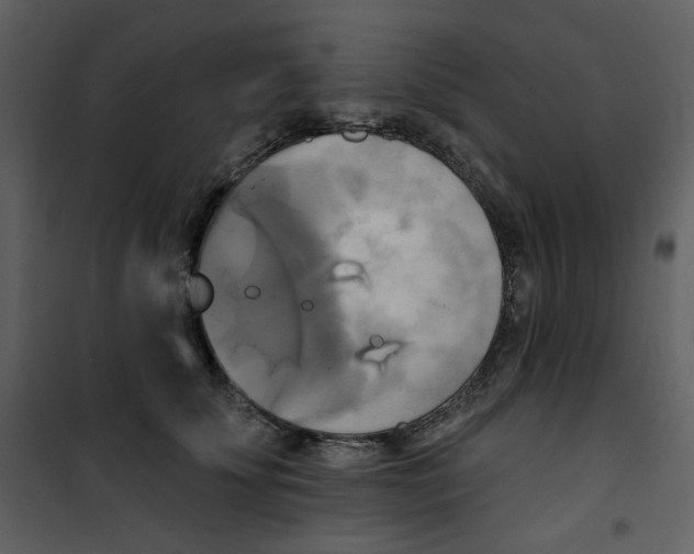 X0000100780707200807171443