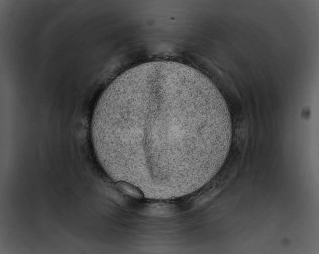 X0000100780708200807171443