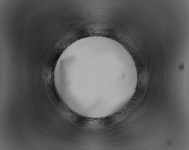 X0000100780709200807171443
